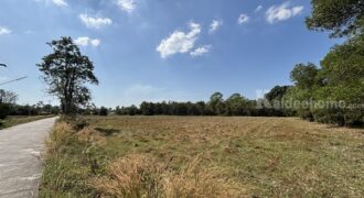 ขายที่ดิน 13 ไร่ 63 ตารางวา นครนายก ถนนสุวรรณศร หมู่ที่9 ต.ป่าขะ อ.บ้านนา โทร 089-7411750