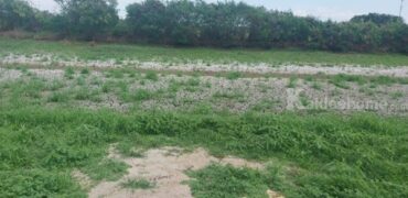 ขายด่วน! ลดกระหน่ำ ถูกสุดๆ ขายที่ดินราคาพิเศษ อ.บางเสาธง จ.สมุทรปราการ สวย ทำเลดี Tel. 092-6869618