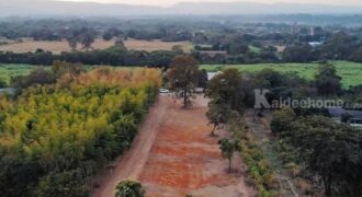 ขายที่ดิน 2 ไร่ 2 งาน อ.สีคิ้ว จ.นครราชสีมา ทำเลดี อากาศดี ถมแล้ว โทร 088-1759595