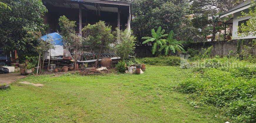 ขายที่ดิน 200 ตรว. ถนนหมื่นด้ามพร้าคต ทำเลกลางเมืองเชียงใหม่ ใกล้ ม.ราชภัฏฯ และตลาดธานินทร์