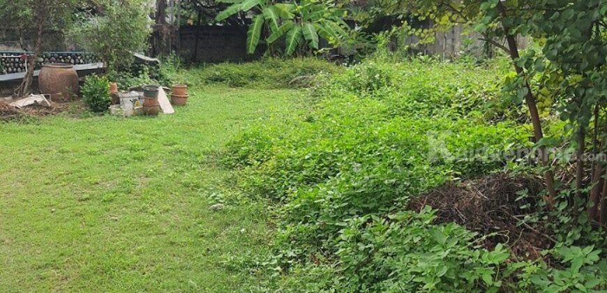 ขายที่ดิน 200 ตรว. ถนนหมื่นด้ามพร้าคต ทำเลกลางเมืองเชียงใหม่ ใกล้ ม.ราชภัฏฯ และตลาดธานินทร์