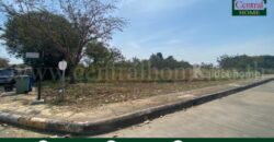 ที่ดินเปล่า ถมแล้ว 308.9 ตร.วา หมู่บ้าน การ์เด้นลากูน่า – ฉะเชิงเทรา แปลงมุม