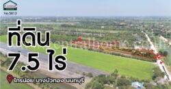 ที่ดินเปล่า 7-2-18.6 ไร่ ราษฎร์นิยม ไทรน้อย นนทบุรี