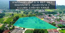 ขายที่ดินบางพระ ศรีราชา ชลบุรี 8ไร่ 80 ตร.ว.