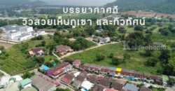 ขายที่ดินบางพระ ศรีราชา ชลบุรี 8ไร่ 80 ตร.ว.