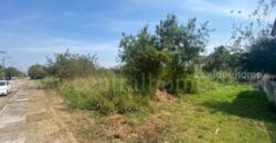 ที่ดินเปล่า ถมแล้ว 308.9 ตร.วา หมู่บ้าน การ์เด้นลากูน่า – ฉะเชิงเทรา แปลงมุม