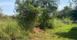 ที่ดินเปล่า ถมแล้ว 308.9 ตร.วา หมู่บ้าน การ์เด้นลากูน่า – ฉะเชิงเทรา แปลงมุม