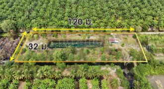 ที่ดินเปล่า 2-1-60 ไร่ คลอง 12 หนองเสือ ปทุมธานี