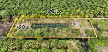 ที่ดินเปล่า 2-1-60 ไร่ คลอง 12 หนองเสือ ปทุมธานี