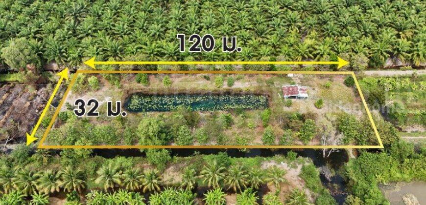 ที่ดินเปล่า 2-1-60 ไร่ คลอง 12 หนองเสือ ปทุมธานี