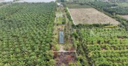 ที่ดินเปล่า 2-1-60 ไร่ คลอง 12 หนองเสือ ปทุมธานี