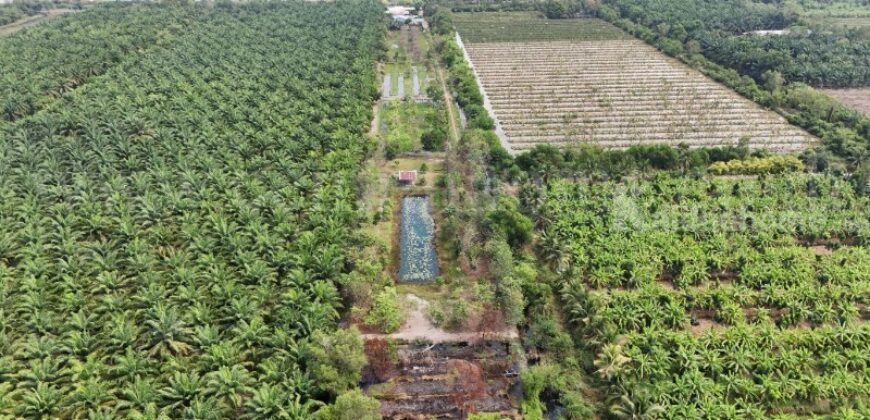 ที่ดินเปล่า 2-1-60 ไร่ คลอง 12 หนองเสือ ปทุมธานี