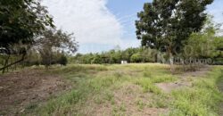 ที่ดินเปล่า 2-1-60 ไร่ คลอง 12 หนองเสือ ปทุมธานี