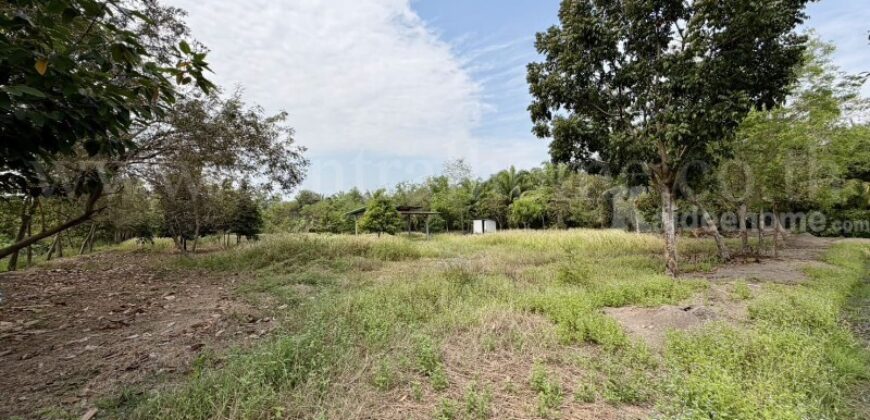 ที่ดินเปล่า 2-1-60 ไร่ คลอง 12 หนองเสือ ปทุมธานี