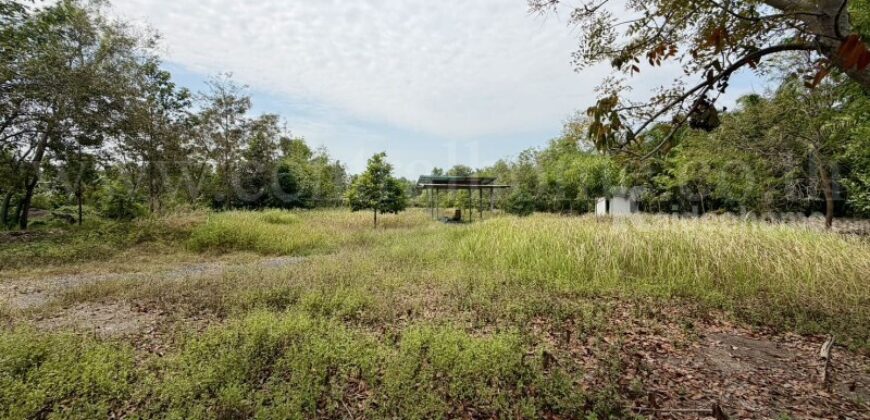 ที่ดินเปล่า 2-1-60 ไร่ คลอง 12 หนองเสือ ปทุมธานี