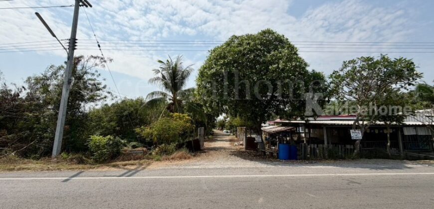 ที่ดินเปล่า 2-1-60 ไร่ คลอง 12 หนองเสือ ปทุมธานี