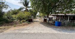 ที่ดินเปล่า 2-1-60 ไร่ คลอง 12 หนองเสือ ปทุมธานี