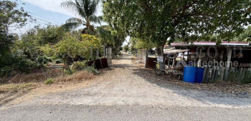 ที่ดินเปล่า 2-1-60 ไร่ คลอง 12 หนองเสือ ปทุมธานี