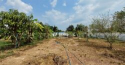 บ้านเดี่ยว 2 หลัง พร้อมที่ดิน 1 ไร่ 55.4 ตารางวา เกาะโพธิ์ นครนายก