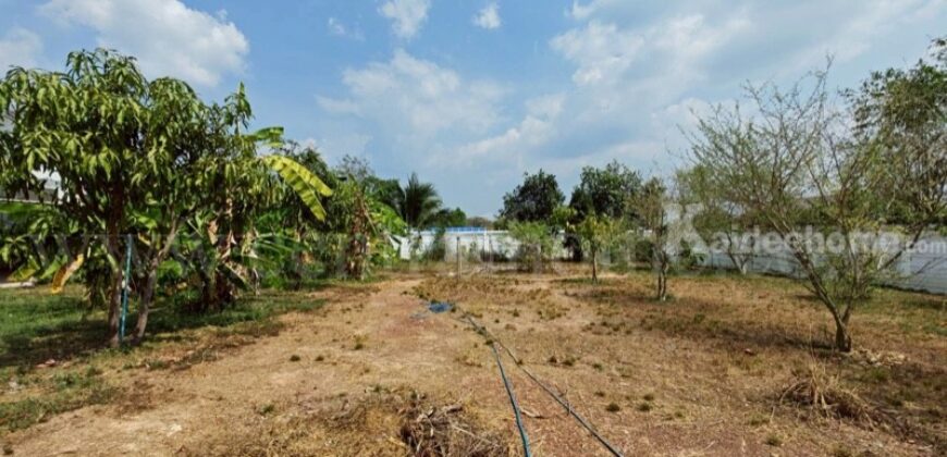 บ้านเดี่ยว 2 หลัง พร้อมที่ดิน 1 ไร่ 55.4 ตารางวา เกาะโพธิ์ นครนายก