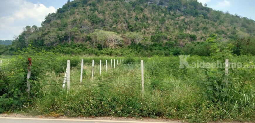 ขายที่ดินเขาใหญ่ หมูสี ที่ติดเขา วิวอุทยานแห่งชาติเขาใหญ่ชัดสวยมาก ท่าช้าง ใกล้ถนนธนะรัชต์ ใกล้เส้น 3052 เดินทางสะดวก ติดลาดยาง ใกล้ร้านค้าตลาด ที่สวยมากวิวเขาล้อมรอบ ราคาดีมาก 087-9074045