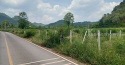 ขายที่ดินเขาใหญ่ หมูสี ที่ติดเขา วิวอุทยานแห่งชาติเขาใหญ่ชัดสวยมาก ท่าช้าง ใกล้ถนนธนะรัชต์ ใกล้เส้น 3052 เดินทางสะดวก ติดลาดยาง ใกล้ร้านค้าตลาด ที่สวยมากวิวเขาล้อมรอบ ราคาดีมาก 087-9074045