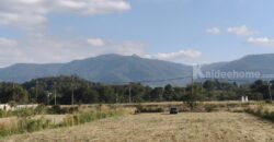 ขายที่ดินเขาใหญ่ หมูสี ที่ติดเขา วิวอุทยานแห่งชาติเขาใหญ่ชัดสวยมาก ท่าช้าง ใกล้ถนนธนะรัชต์ ใกล้เส้น 3052 เดินทางสะดวก ติดลาดยาง ใกล้ร้านค้าตลาด ที่สวยมากวิวเขาล้อมรอบ ราคาดีมาก 087-9074045