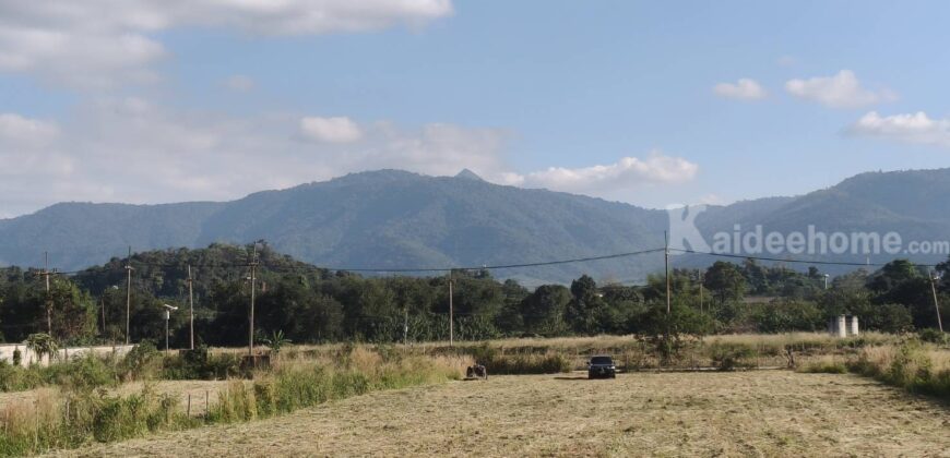 ขายที่ดินเขาใหญ่ หมูสี ที่ติดเขา วิวอุทยานแห่งชาติเขาใหญ่ชัดสวยมาก ท่าช้าง ใกล้ถนนธนะรัชต์ ใกล้เส้น 3052 เดินทางสะดวก ติดลาดยาง ใกล้ร้านค้าตลาด ที่สวยมากวิวเขาล้อมรอบ ราคาดีมาก 087-9074045