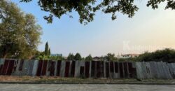 ขายที่ดินหมู่บ้านเสรีวิลล่า Seri Villa ศรีนครินทร์55 หน้าสวนหลวง ร.9 ที่ดิน 296ตร.ว ใกล้รถไฟฟ้าMrt 800ม. อยู่หลังพาราไดซ์พาร์ค ใกล้ซีคอน อุดมสุข บางนาตราด อ่อนนุช พัฒนาการ แปลงสวย rare itemสุด 0879074045