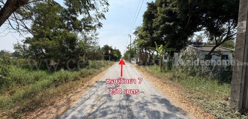 ที่ดินเปล่า 98 ตารางวา ซอยสังฆสันติสุข 38 หนองจอก กรุงเทพฯ ราคาถูก