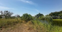 ที่ดินเปล่า ถมแล้ว 106.7 ตร.วา หมู่บ้าน การ์เด้นลากูน่า – ฉะเชิงเทรา ถนนเมน ติดทะเลสาบ