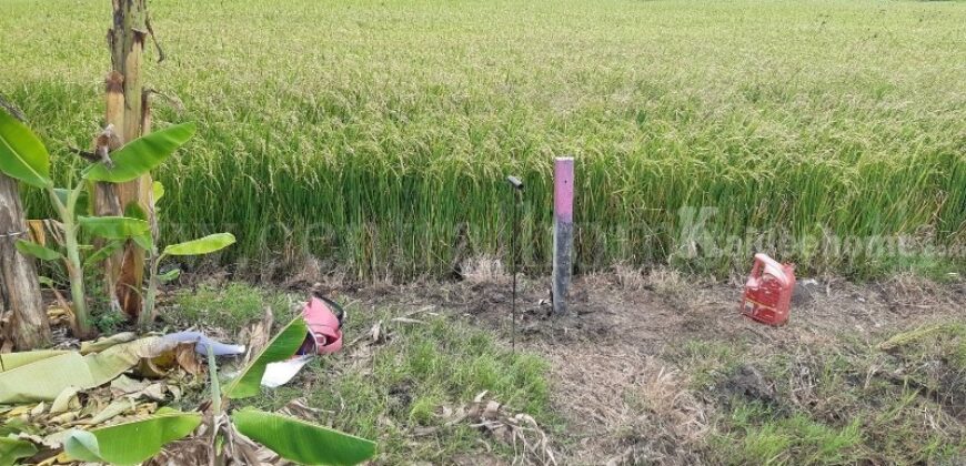 ที่ดินเปล่า 7 ไร่ 55 ตารางวา บางคูรัด บางบัวทอง นนทบุรี