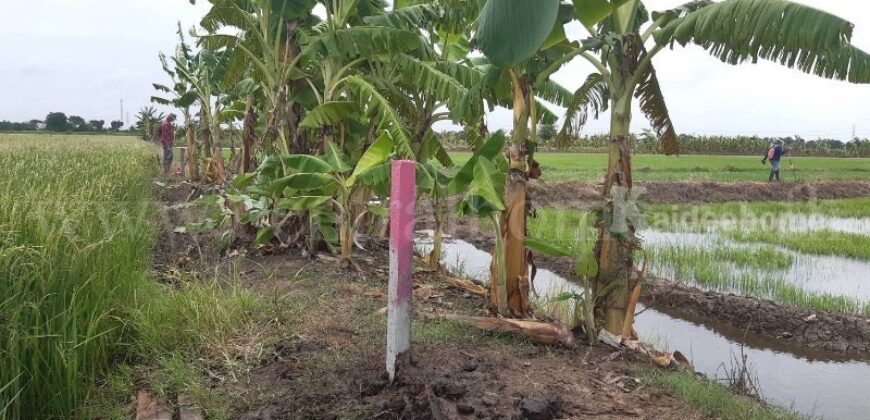 ที่ดินเปล่า 7 ไร่ 55 ตารางวา บางคูรัด บางบัวทอง นนทบุรี