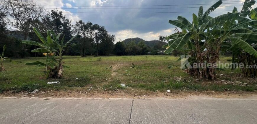 ขายที่ดินบางพระ ศรีราชา ชลบุรี 8ไร่ 80 ตร.ว.