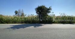 ที่ดิน 3 ไร่ 25 ตร.วา นครชัยศรี – นครปฐม ติดมอเตอร์เวย์ M81