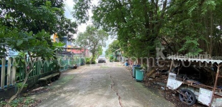 ที่ดินเปล่า 132 ตร.วา ชุมชนประชาสำราญ คลอง 12 หนองจอก