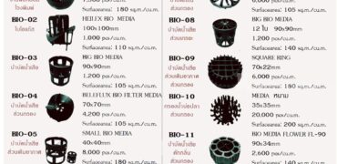 ไบโอมีเดีย พลาสติกมีเดีย ลูกมีเดีย 0863771698