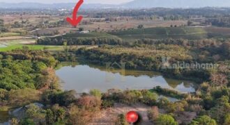 ขายที่ดิน 12 ไร่กว่า ทำเลศักยภาพ ใกล้แหล่งท่องเที่ยว จ.เชียงราย อ.แม่จัน ต.ศรีค้ำ เดินทางสะดวก โทร 081-0321111