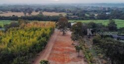 ขายที่ดิน อ.สีคิ้ว จ.นครราชสีมา 2 ไร่ครึ่ง ทำเลดี อากาศดี ถมแล้ว โทร 088-1759595 พร้อมทำบ้านสวนทันที