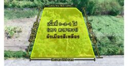 ขายที่ดินปากเกร็ด 201 ตารางวา รูปสี่เหลี่ยมผืนผ้า ทำเลทองซอยวัดสลักเหนือ