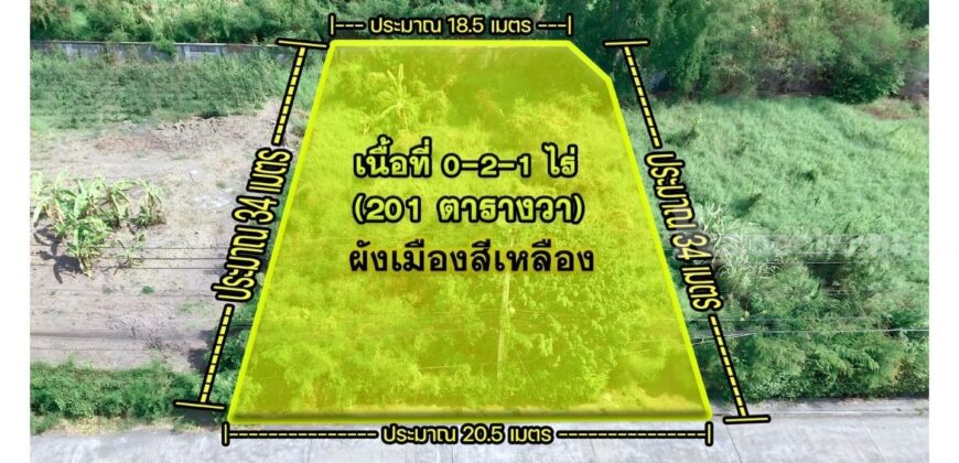 ขายที่ดินปากเกร็ด 201 ตารางวา รูปสี่เหลี่ยมผืนผ้า ทำเลทองซอยวัดสลักเหนือ