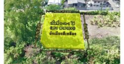 ขายที่ดินปากเกร็ด 201 ตารางวา รูปสี่เหลี่ยมผืนผ้า ทำเลทองซอยวัดสลักเหนือ