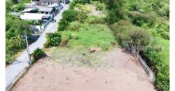 ขายที่ดินปากเกร็ด 201 ตารางวา รูปสี่เหลี่ยมผืนผ้า ทำเลทองซอยวัดสลักเหนือ