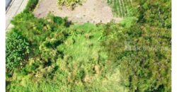 ขายที่ดินปากเกร็ด 201 ตารางวา รูปสี่เหลี่ยมผืนผ้า ทำเลทองซอยวัดสลักเหนือ