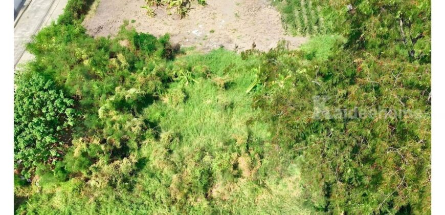 ขายที่ดินปากเกร็ด 201 ตารางวา รูปสี่เหลี่ยมผืนผ้า ทำเลทองซอยวัดสลักเหนือ