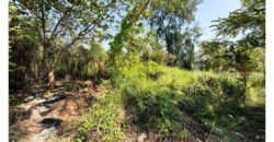 ขายที่ดินปากเกร็ด 201 ตารางวา รูปสี่เหลี่ยมผืนผ้า ทำเลทองซอยวัดสลักเหนือ