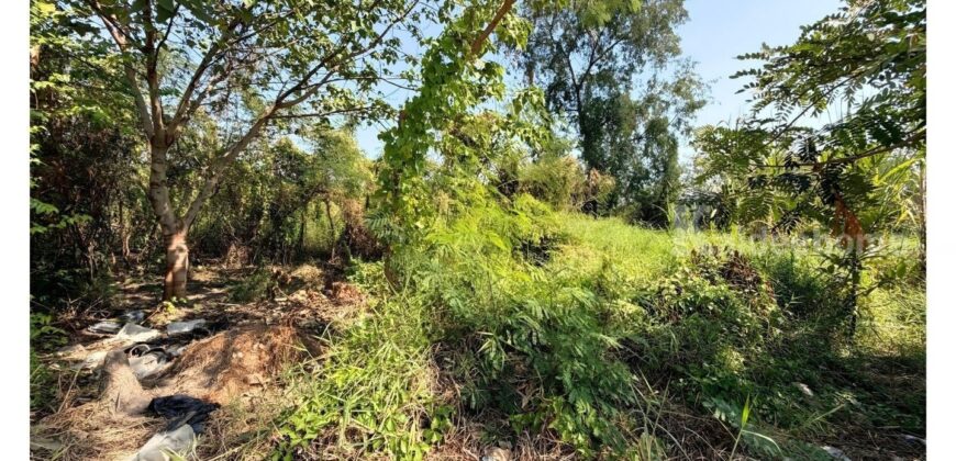 ขายที่ดินปากเกร็ด 201 ตารางวา รูปสี่เหลี่ยมผืนผ้า ทำเลทองซอยวัดสลักเหนือ