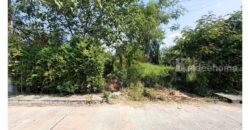 ขายที่ดินปากเกร็ด 201 ตารางวา รูปสี่เหลี่ยมผืนผ้า ทำเลทองซอยวัดสลักเหนือ