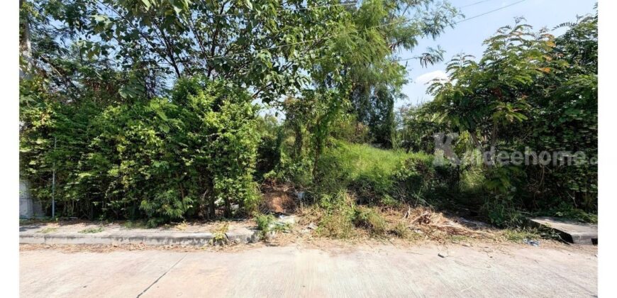 ขายที่ดินปากเกร็ด 201 ตารางวา รูปสี่เหลี่ยมผืนผ้า ทำเลทองซอยวัดสลักเหนือ