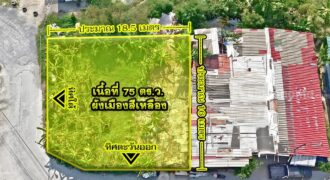 ขายที่ดินอ่อนนุช 39 (ศรีนครินทร์ 24) แปลงมุม 75 ตร.ว. ราคาถูก